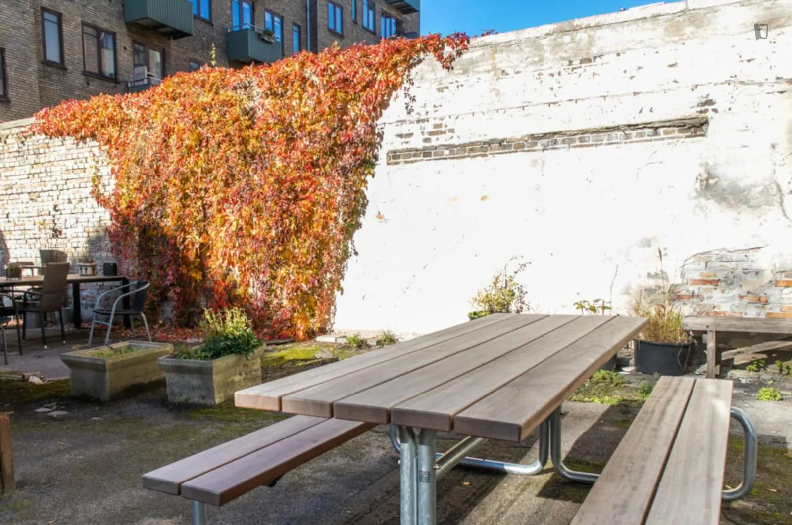 Stilfuldt enkeltværelse i eksklusiv delt lejlighed - Århusgade Syd - Foto 2